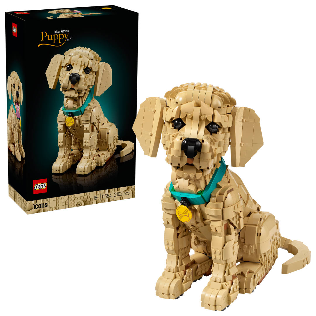LEGO Icons Golden Retriever Puppy | 11384