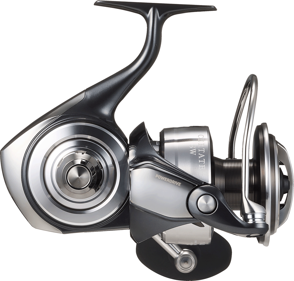 2026 CERTATE SW Premium Style Fan Collection