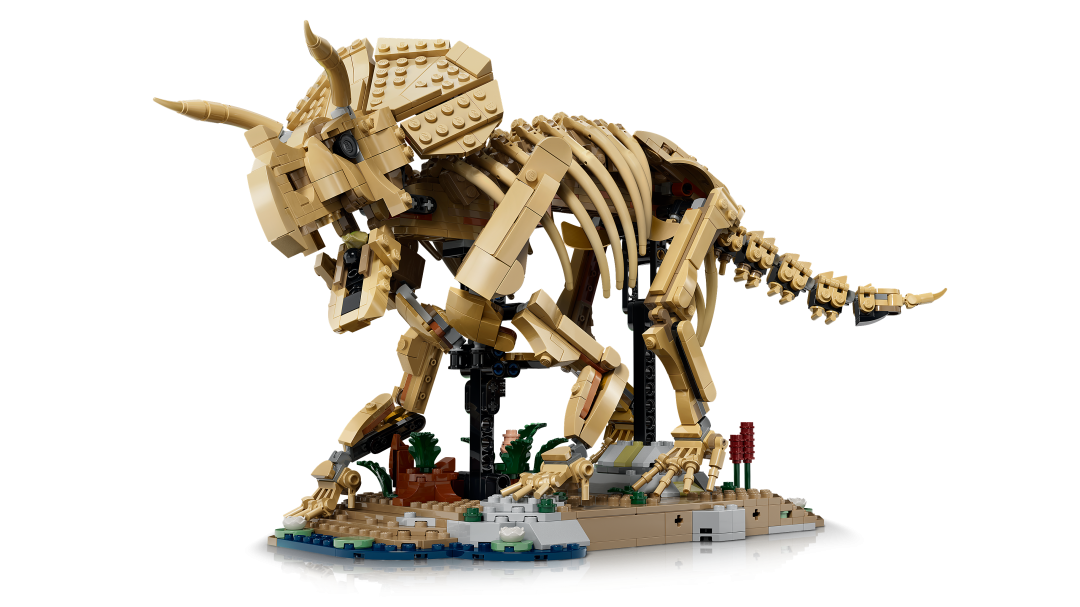 LEGO Jurassic World Dinosaur Fossils: Triceratops | 77985