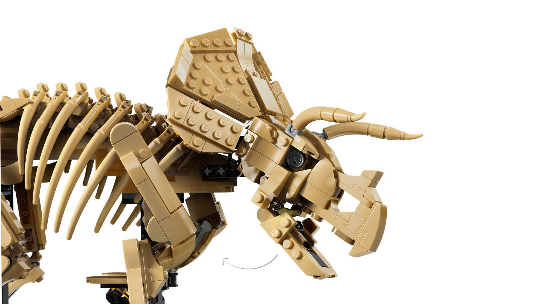 LEGO Jurassic World Dinosaur Fossils: Triceratops | 77985