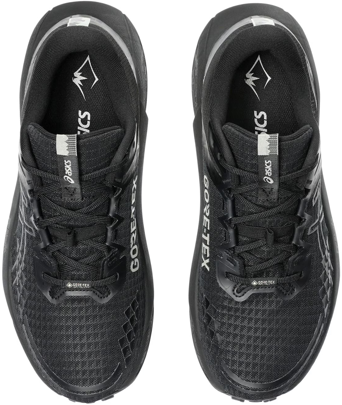 Asics Gel Trabuco 13 GORE-TEX Men's Trail Running Shoes - Black | Trail Running