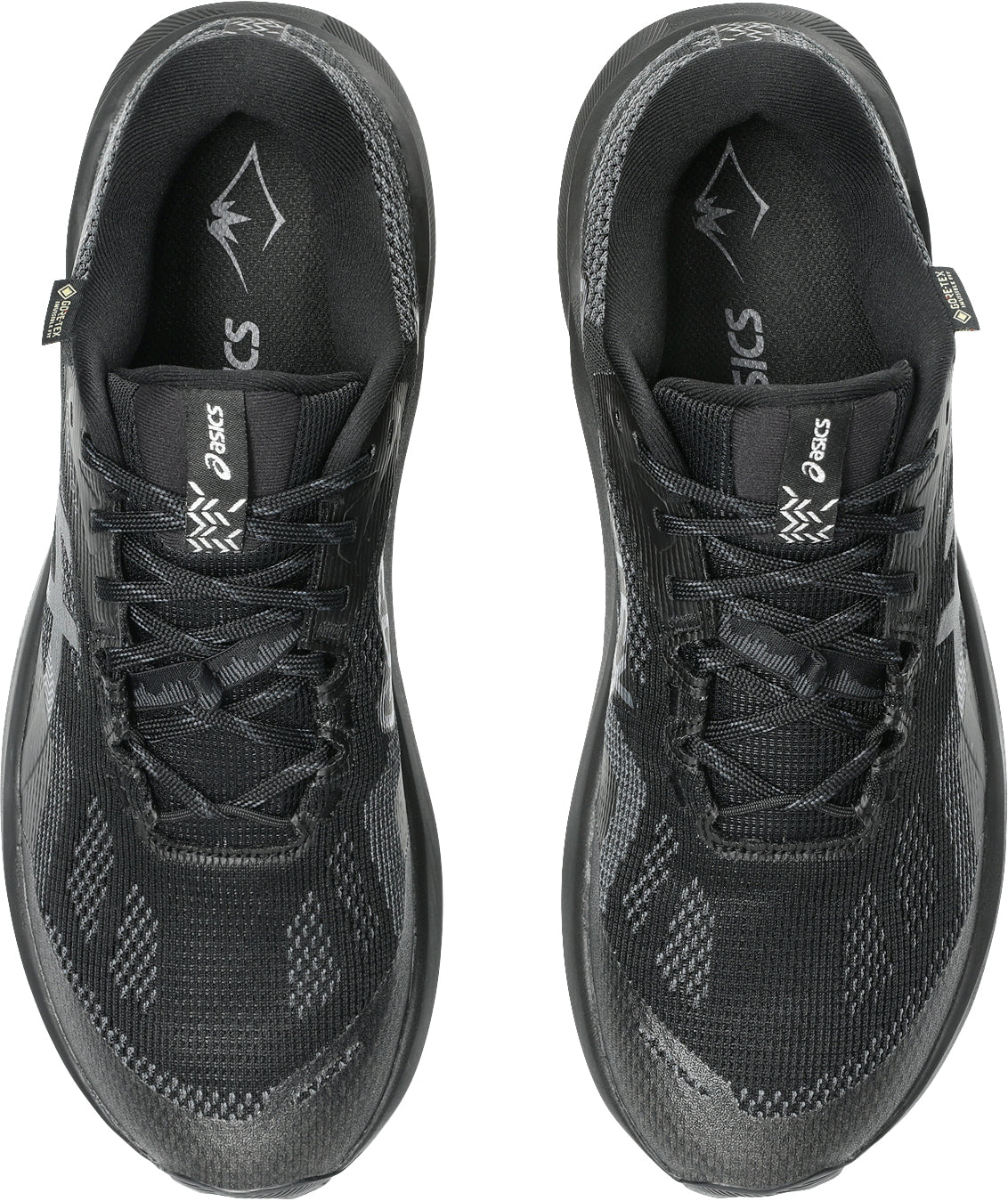 Asics Trabuco 14 GORE-TEX Men's Trail Running Shoes - Black | Trail Running