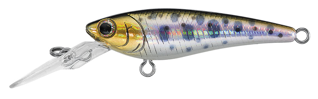 SC SHAD Premium Style Fan Collection