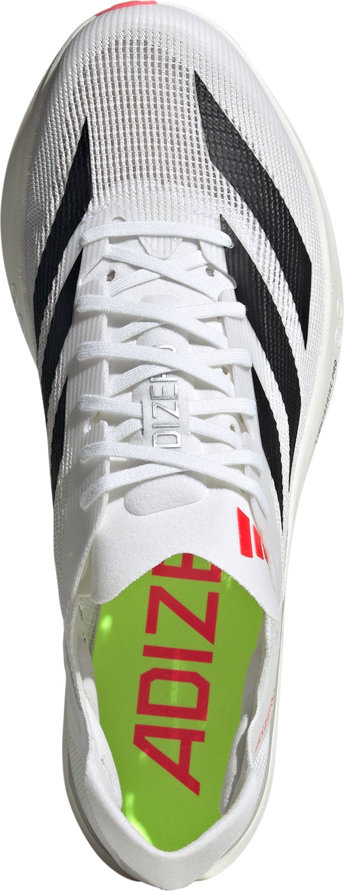 adidas Adizero Avanti Running Spikes - White | Running & Training
