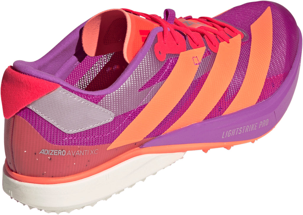 adidas Adizero Avanti XC Cross Country Spikes - Purple | Running & Training
