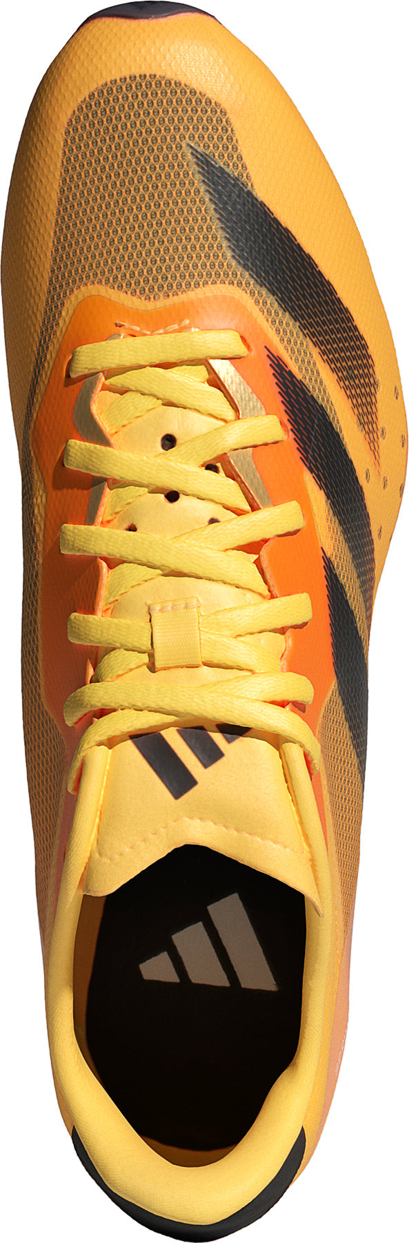 adidas Sprintstar Running Spikes - Orange | Running & Training