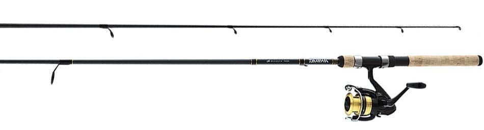 D-SHOCK SPINNING COMBO - 1BB Premium Style Fan Collection